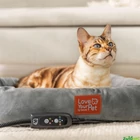 Kép 3/3 - Beurer PP250 Kira melegíthető állat fekhely 58 x 50 cm