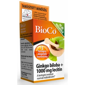 BioCo Ginkgo Biloba + 1000 mg Lecitin Megapack 90db