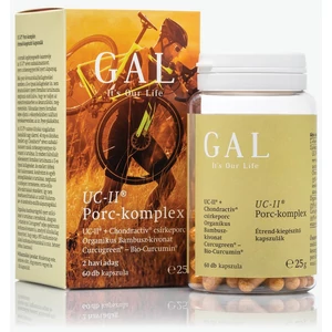 GAL Porc-komplex