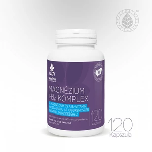 WTN Magnézium + B6 komplex, 120 kapszula