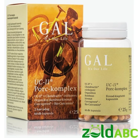 GAL Porc-komplex