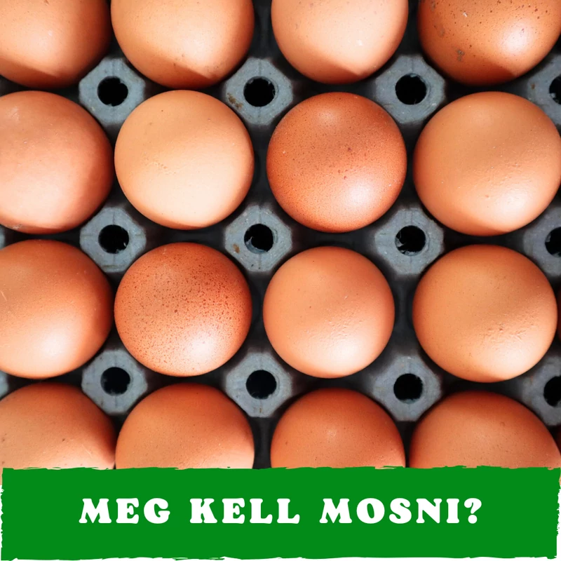 Megmosni vagy nem megmosni? Tojásdilemma a konyhában