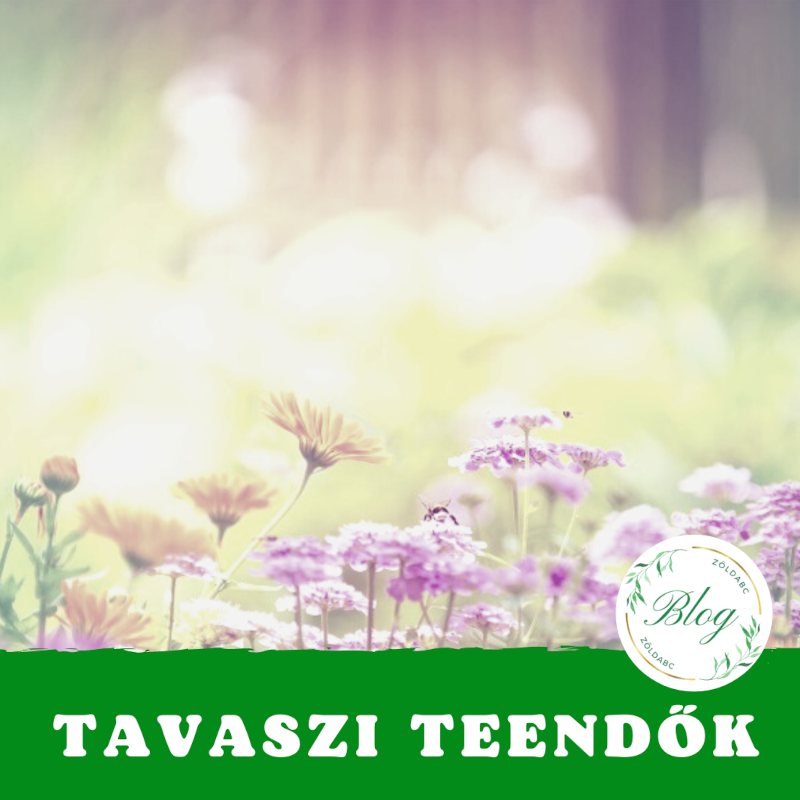 Tavaszi teendők