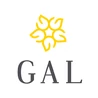 GAL SynergyTech